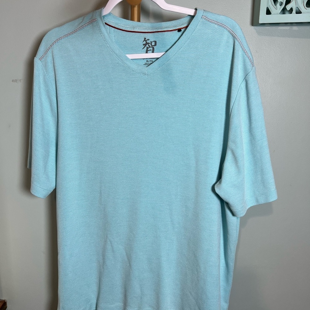 Age of Wisdom Turquoise V-Neck Tee